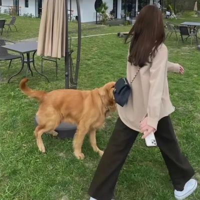 凛子小姐想试试